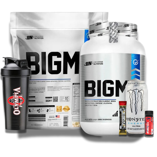 PROTEINA / GANADOR DE PESO BIGM